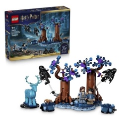 LEGO(R) HARRY POTTER 76475 Zakazany Las