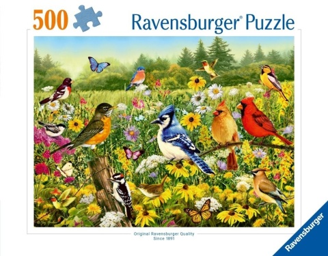Puzzle 2D: Ptaki 500el