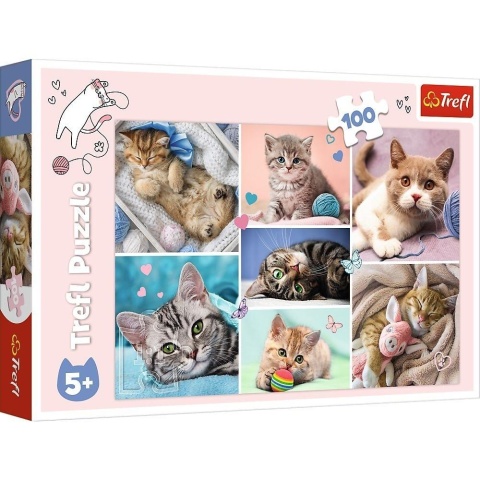 Puzzle 100 W kocim świecie TREFL