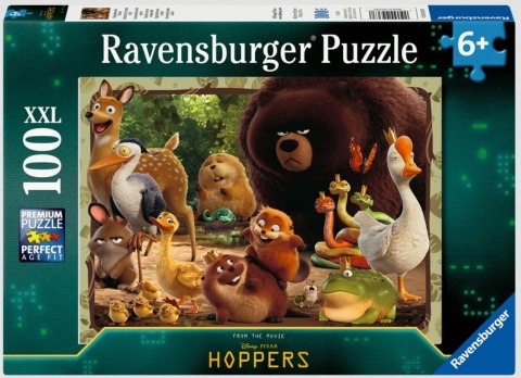 Puzzle 2D 100 Hoopers