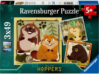 Puzzle 2D 3x49 Hoppers