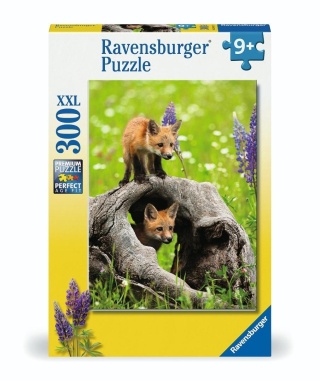 Puzzle 300 Curious Foxes